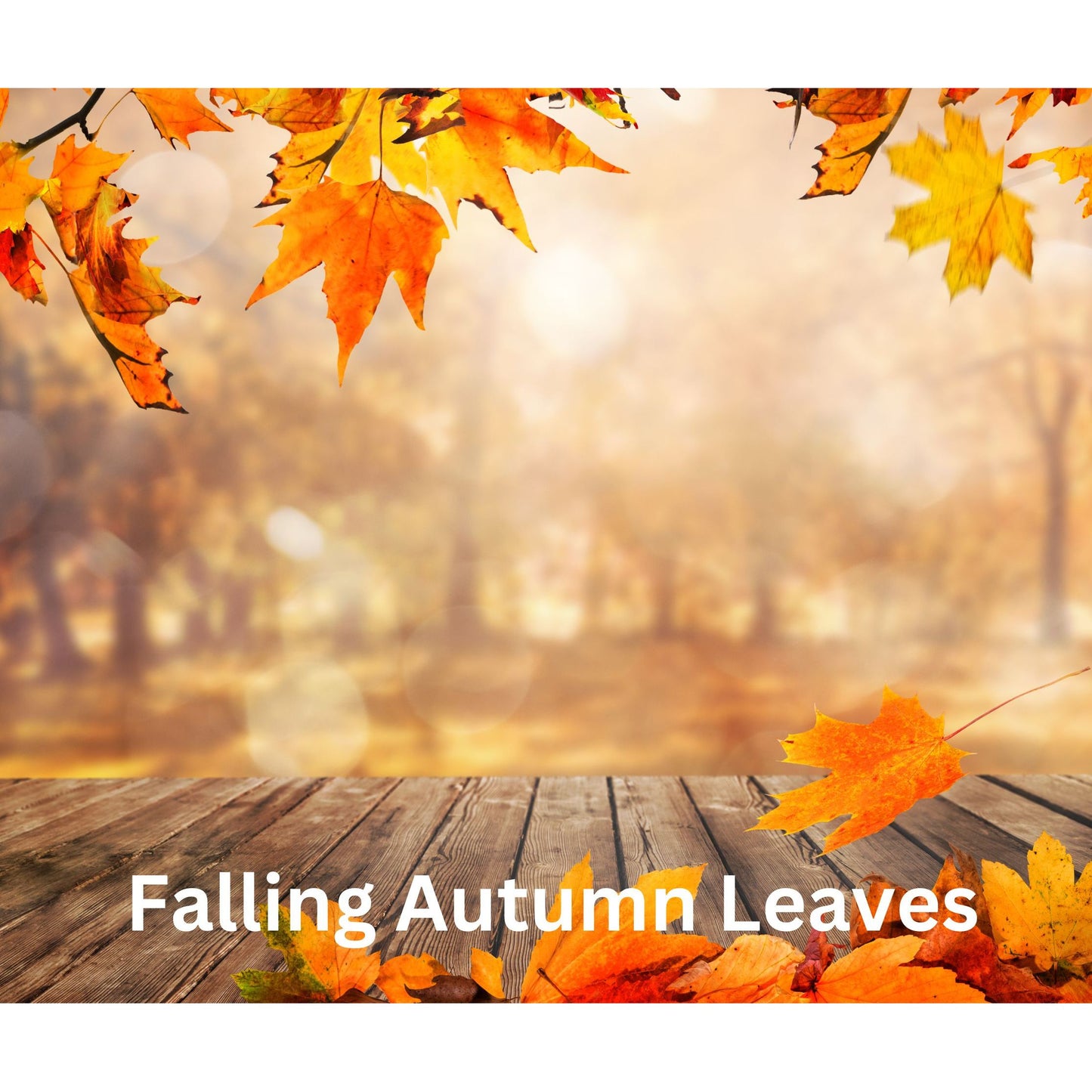 Falling Autumn Leaves