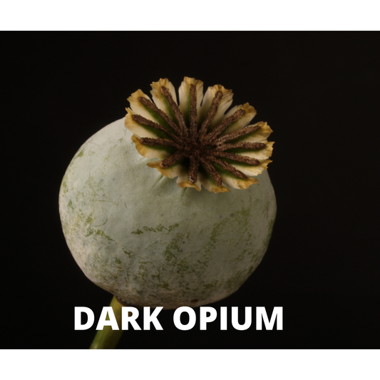 Dark Opium Mist Diffuser Oil