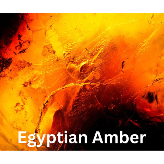 Egyptian Amber Snap Bar