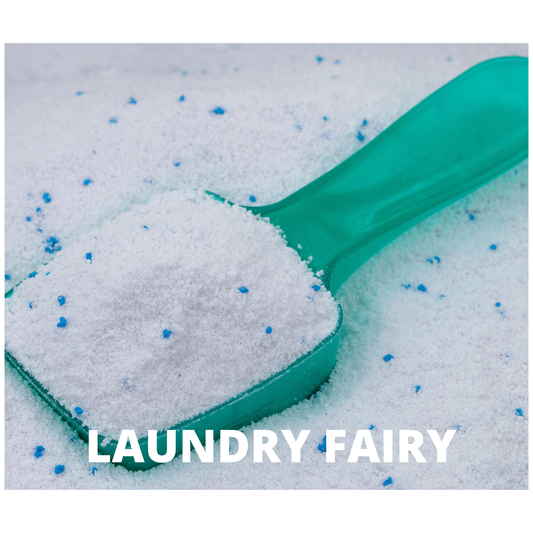 Laundry Fairy Hoover Disc