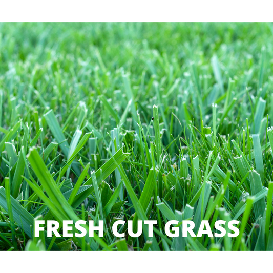 Fresh Cut Grass Snap Bar