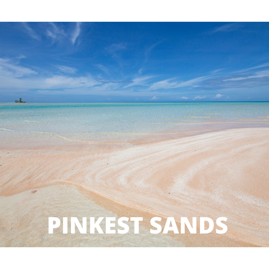 Pinkest Sands Snap Bar