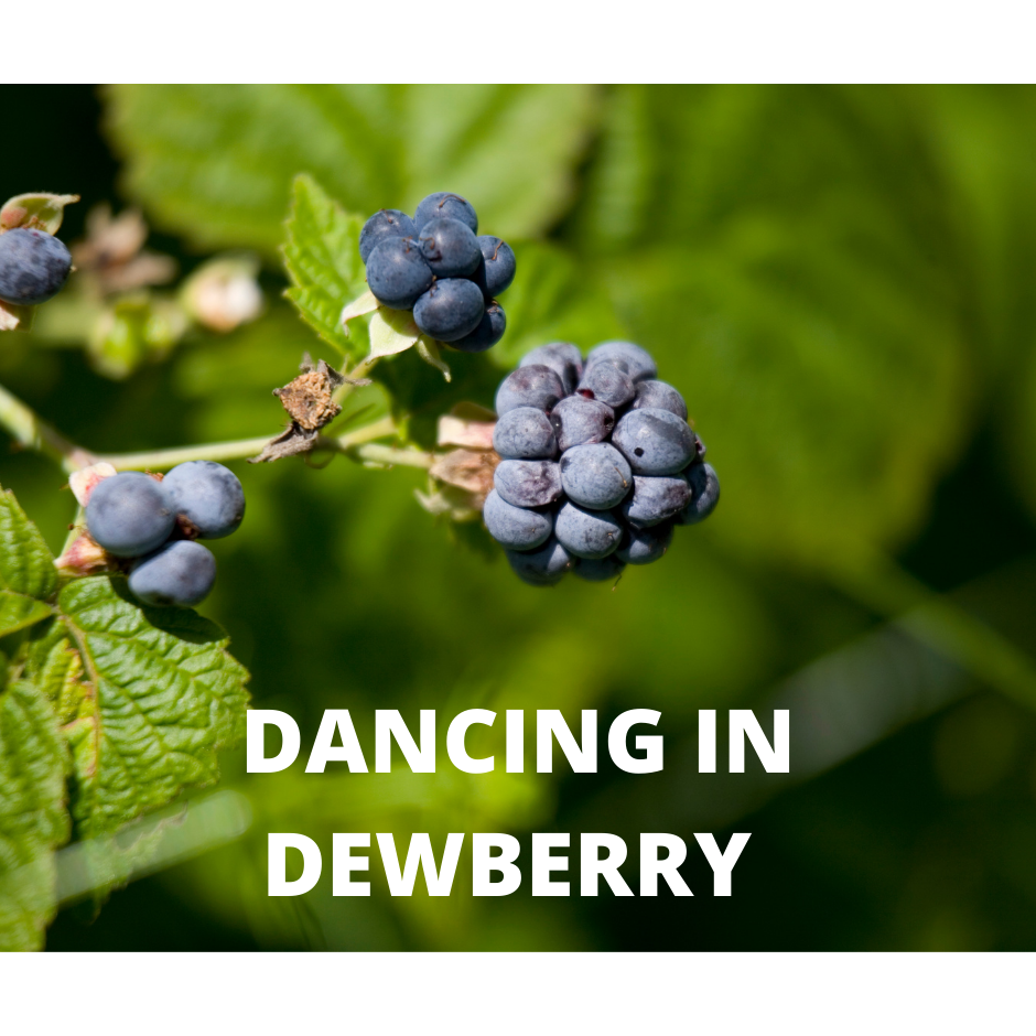 Dancing In Dewberry Snap Bar