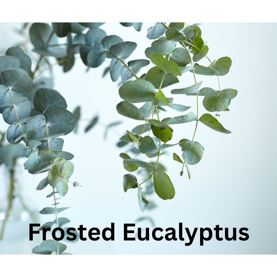 Frosted Eucalyptus Snap Bar