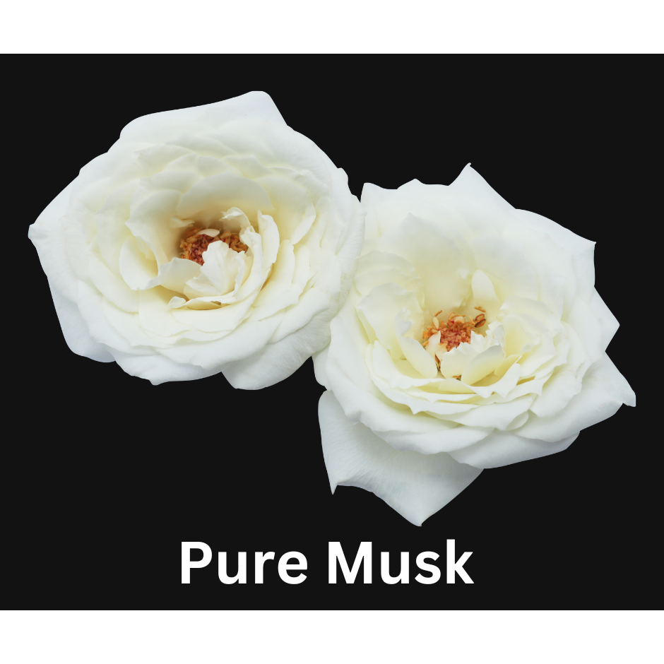 Pure Musk Snap Bar