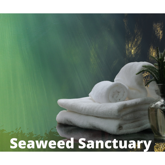 Seaweed Sanctuary Snap Bar